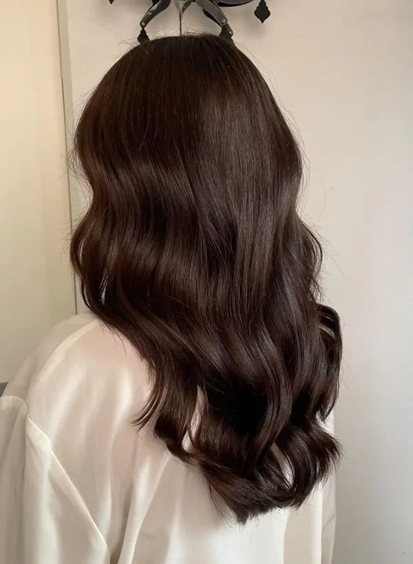 Dark brown hair color 1