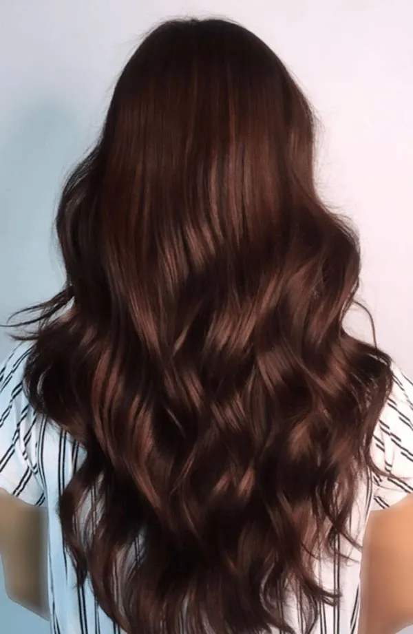 Dark brown hair color 23