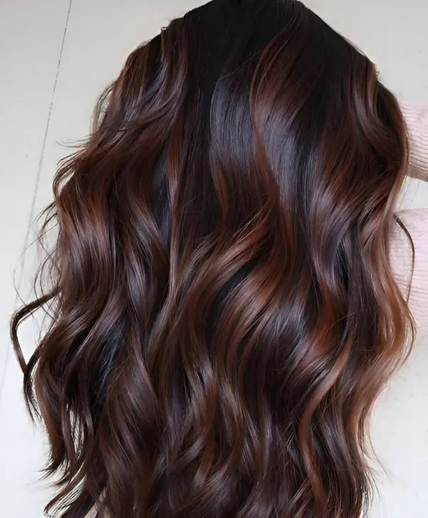 Dark brown hair color 28