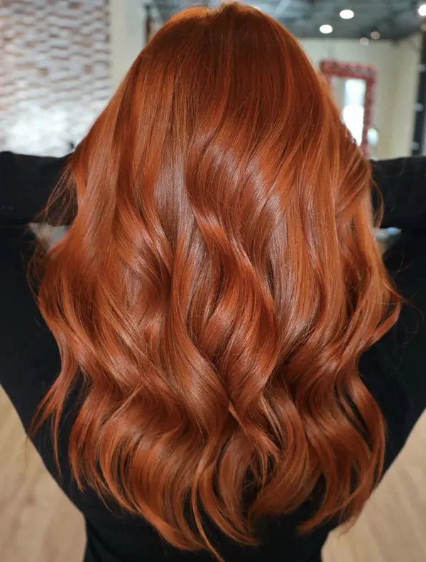 Dark copper hair color 1