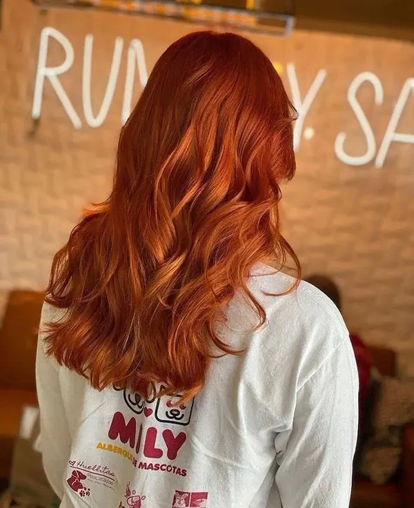 Dark copper hair color 10