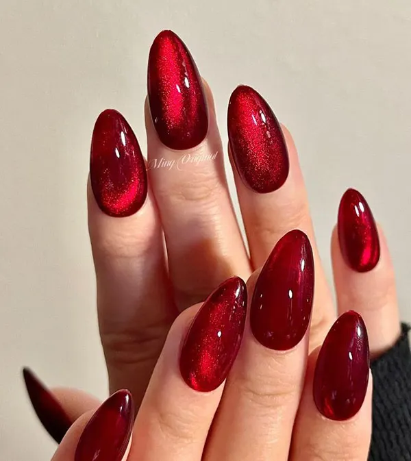 طرح ناخن مگنتی جدید 2026؛ ترندی که دستها را لوکستر نشان میدهد! 15 Magnetic nail design 15