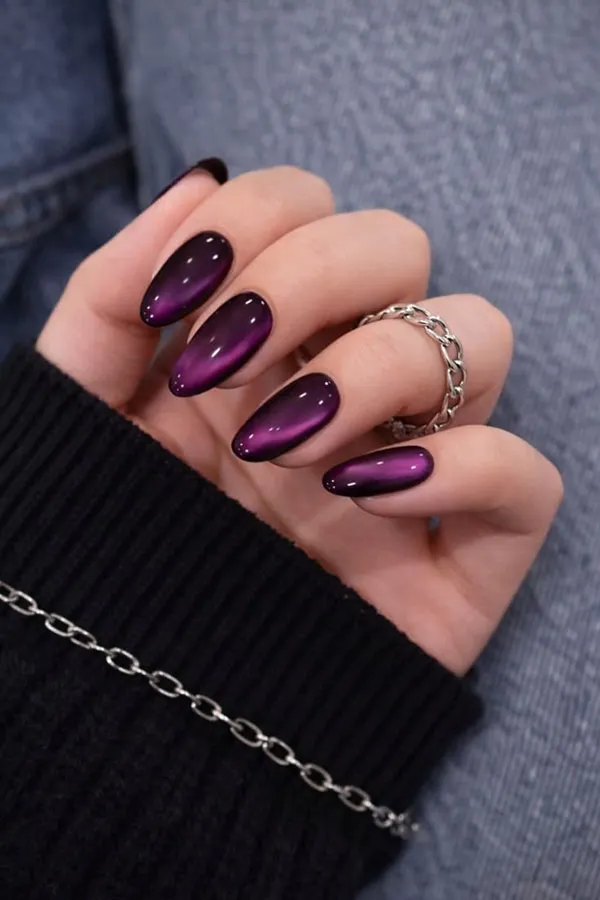 طرح ناخن مگنتی جدید 2026؛ ترندی که دستها را لوکستر نشان میدهد! 10 Magnetic nail design 6