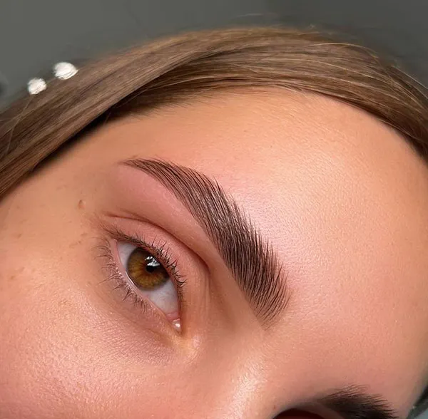 مدل شیدینگ ابرو 1405؛ مزایا، معایب، ماندگاری و تفاوت با میکروبلیدینگ! 29 Eyebrow shading 26