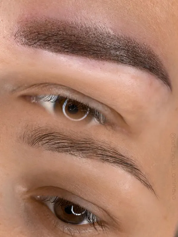مدل شیدینگ ابرو 1405؛ مزایا، معایب، ماندگاری و تفاوت با میکروبلیدینگ! 11 Eyebrow shading 8