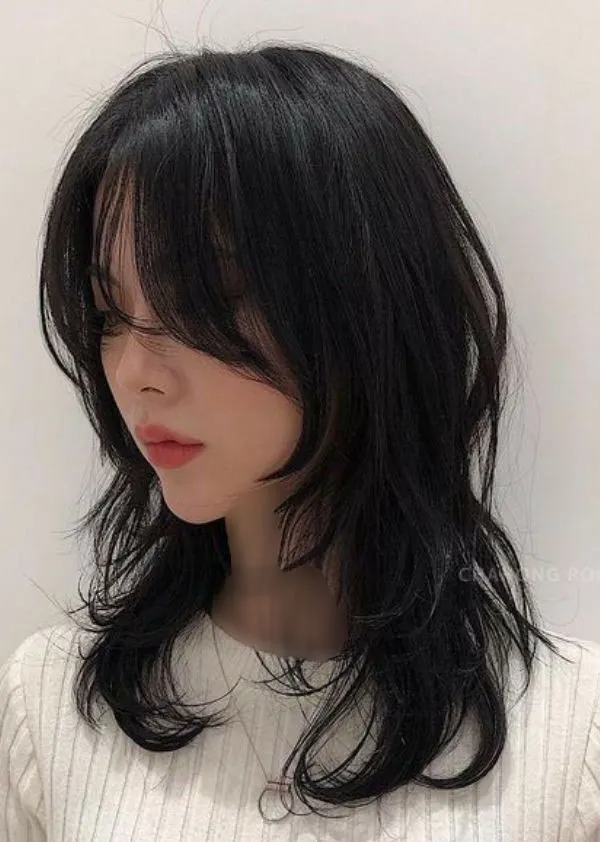Long wolf cut 13