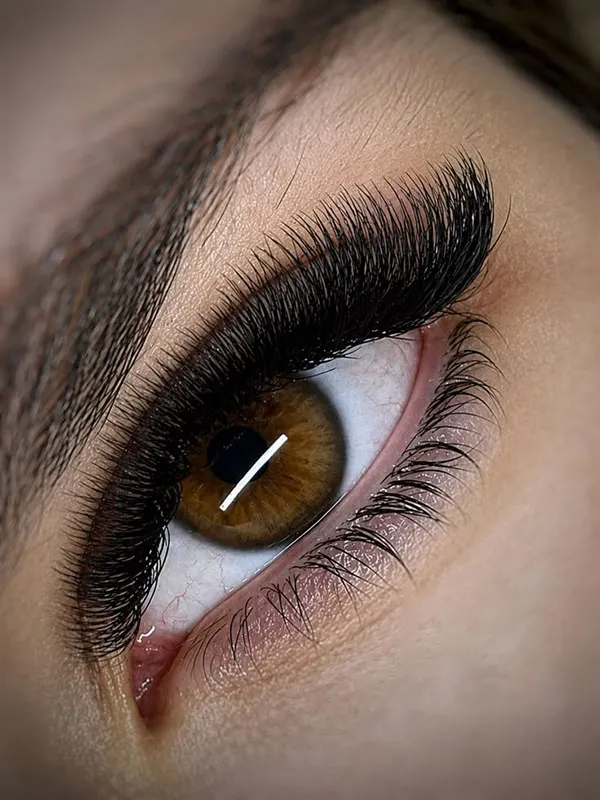 Mega Volume Eyelashes 2