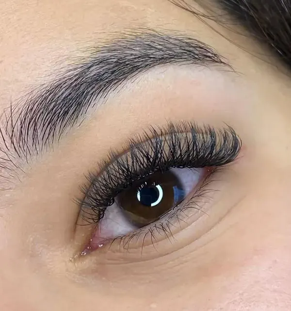 Mega Volume Eyelashes 5