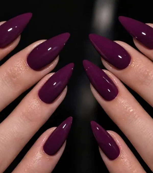 34 مدل ناخن مصنوعی ساده و شیک؛ انتخابی که همه از آن تعریف میکنند! 15 Simple artificial nails 12