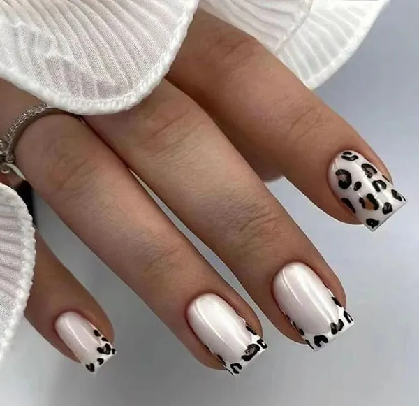 34 مدل ناخن مصنوعی ساده و شیک؛ انتخابی که همه از آن تعریف میکنند! 17 Simple artificial nails 14