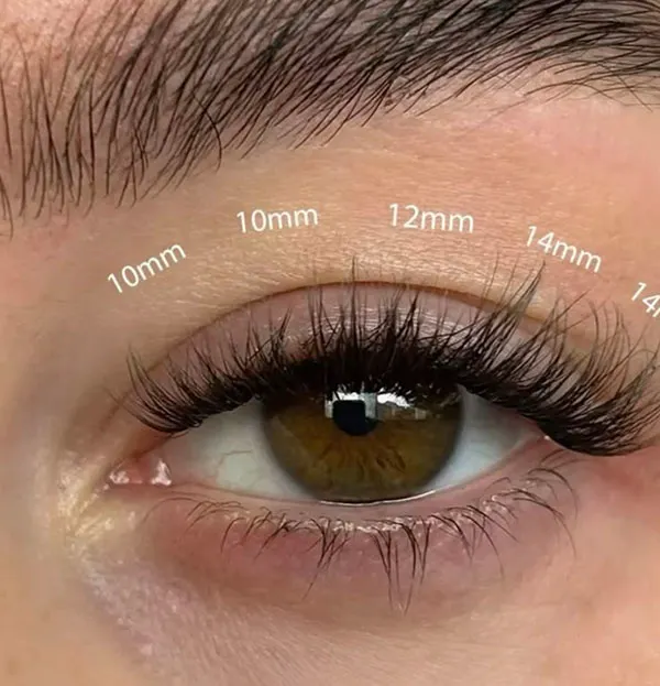 Strip lashes 12