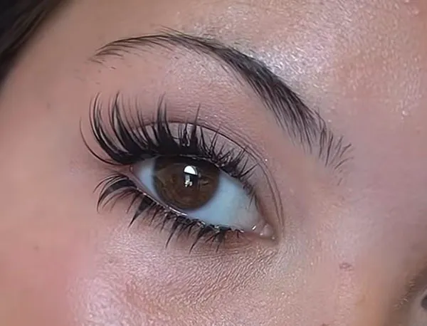 Strip lashes 19
