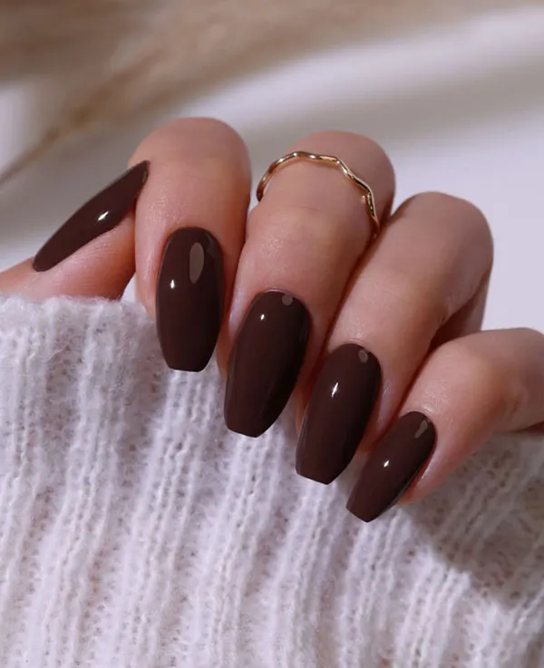 Brown nail design 6