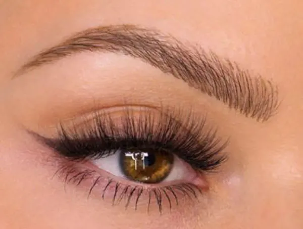 Chic feminine eyebrows 15