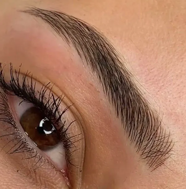 Chic feminine eyebrows 16