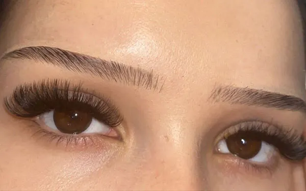 Chic feminine eyebrows 2