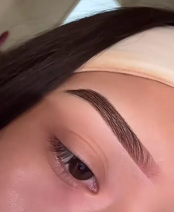 Chic feminine eyebrows 22