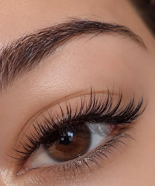 Classic Eyelash Extensions 18