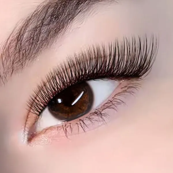 Classic Eyelash Extensions 28
