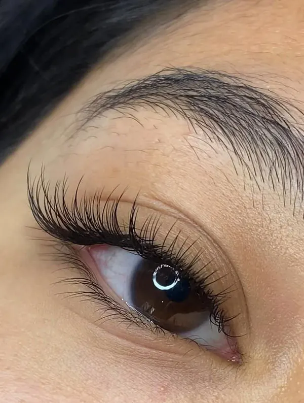 Classic Eyelash Extensions 6
