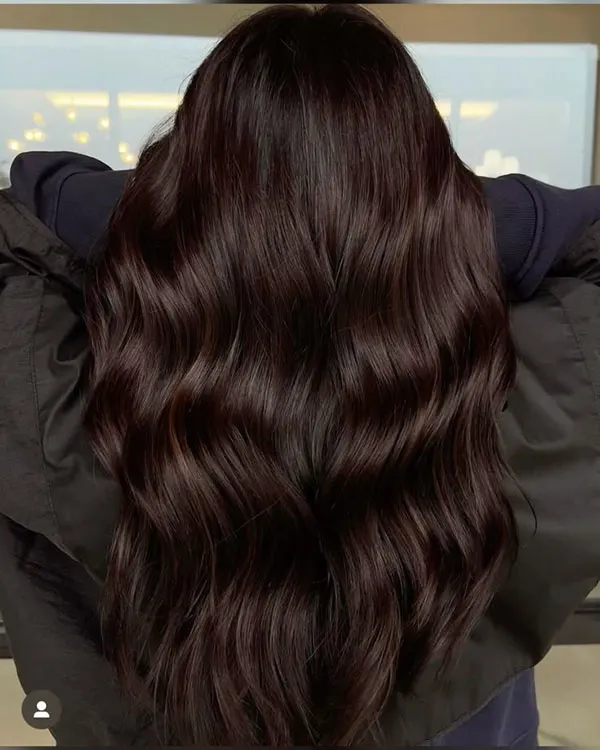 Dark chocolate hair color 15