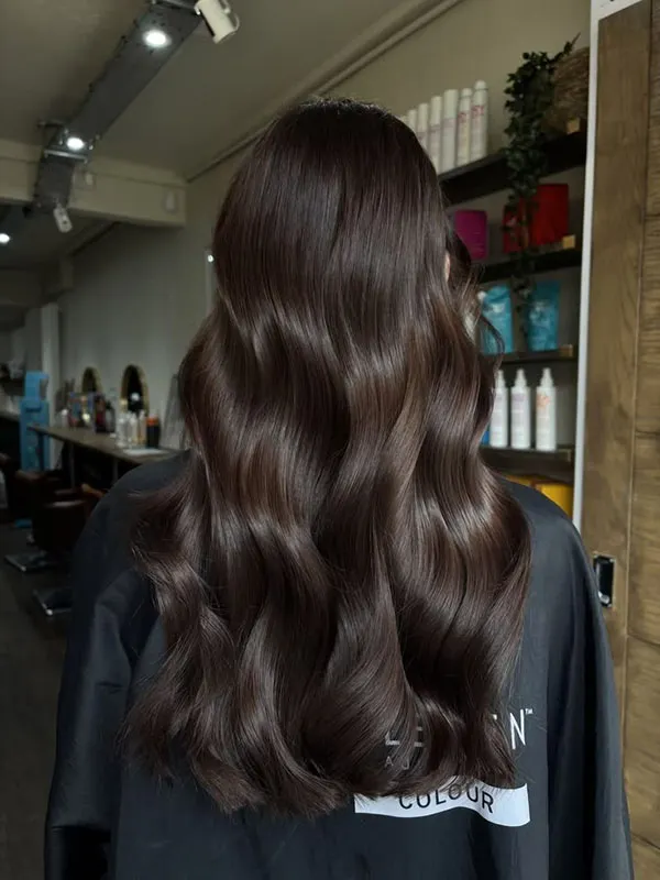 Dark chocolate hair color 19