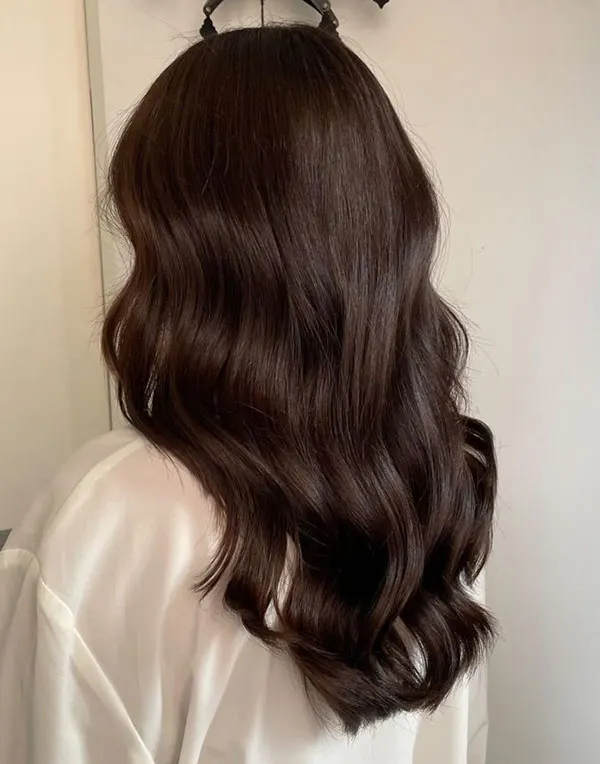 Dark chocolate hair color 29