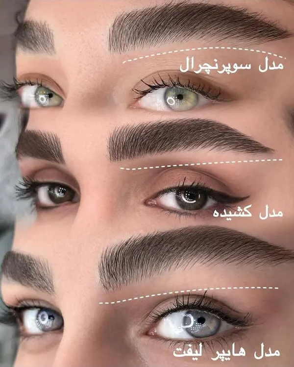 آموزش لیفت ابرو ترند 2026؛ بهترین روش برای داشتن ابروهای لیفتشده و طبیعی! 21 Eyebrow lift training 15