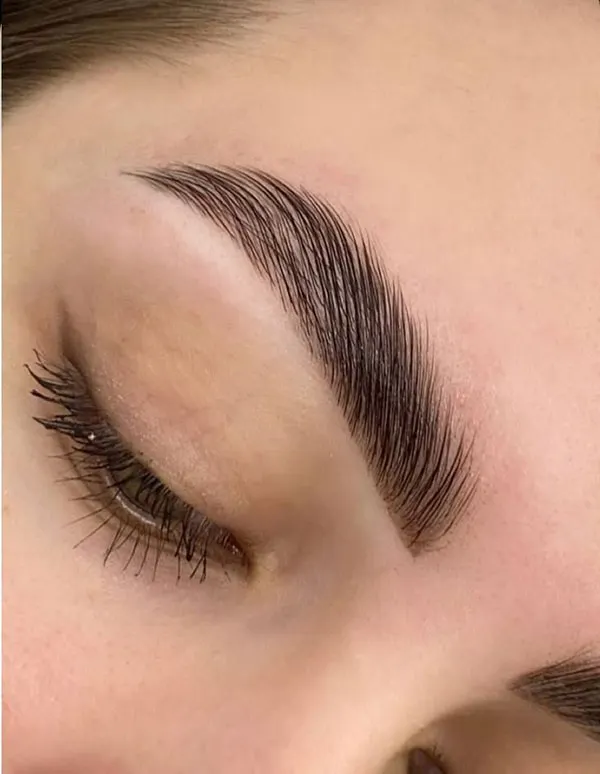 آموزش لیفت ابرو ترند 2026؛ بهترین روش برای داشتن ابروهای لیفتشده و طبیعی! 5 Eyebrow lift training 2
