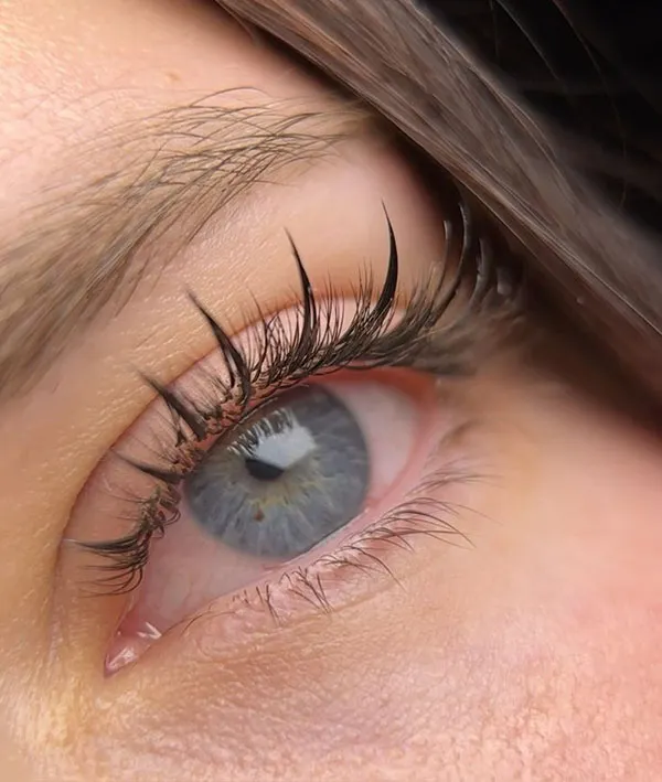 Eyelash extension model 22