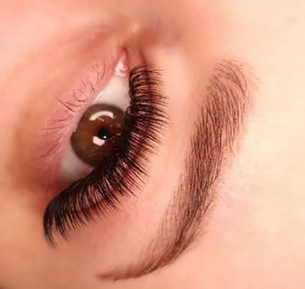 Eyelash extension model 23