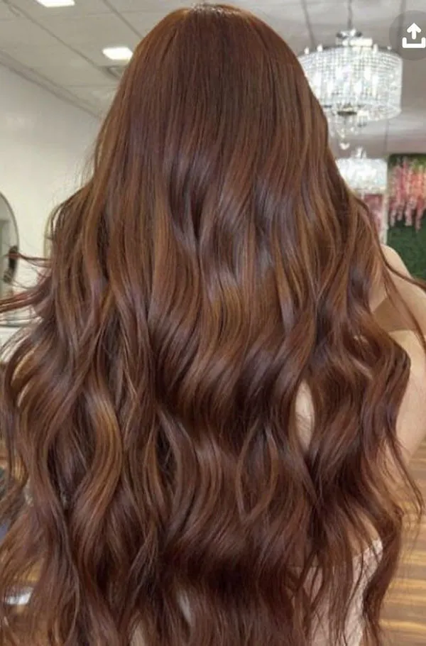 Hazelnut hair color 17