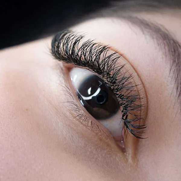 How to Apply False Eyelashes 18