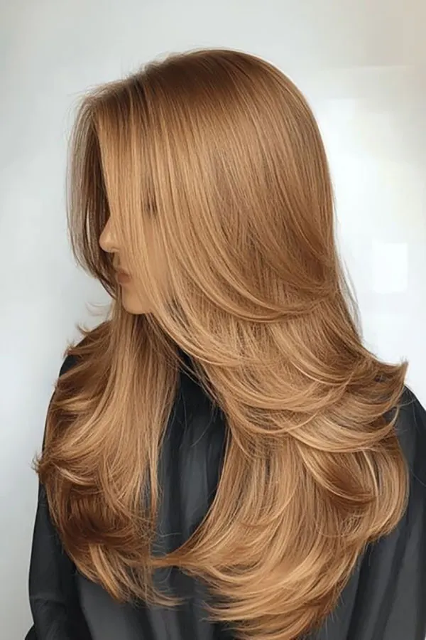 Light brown hair color 1