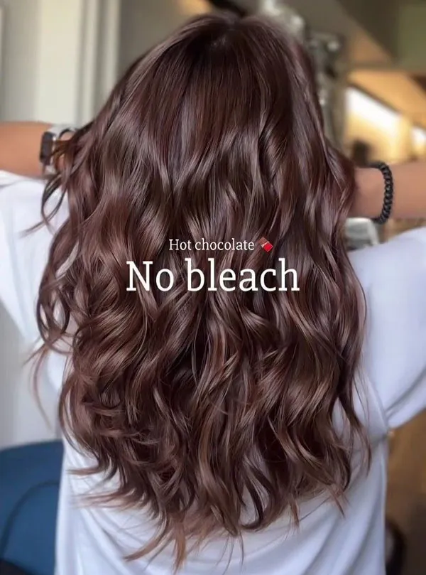 New hair color for girls without bleaching 17