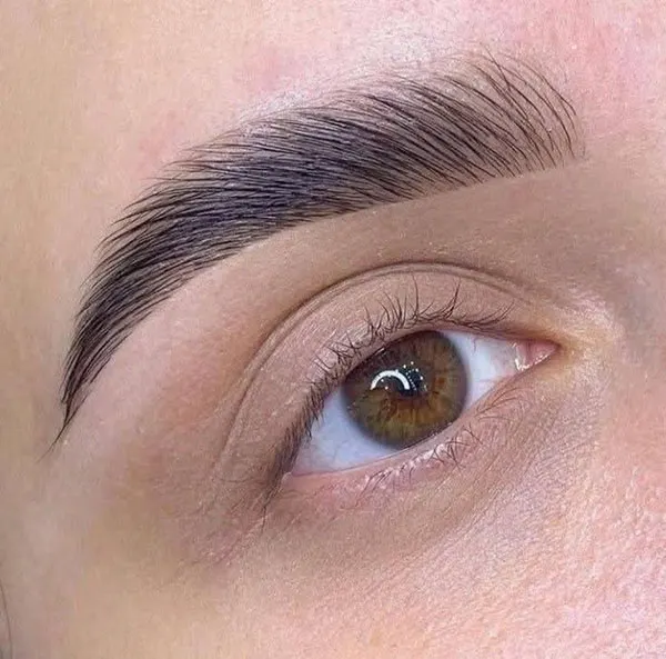 مدل جدید ابرو میکرو 2026 | مدل های طبیعی که این روزها ترند شدهاند! 22 New micro eyebrow model 15