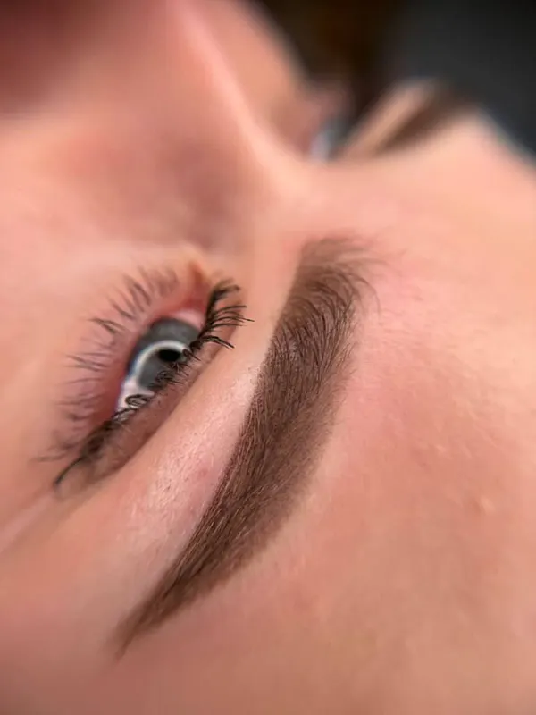 مدل جدید ابرو میکرو 2026 | مدل های طبیعی که این روزها ترند شدهاند! 23 New micro eyebrow model 16