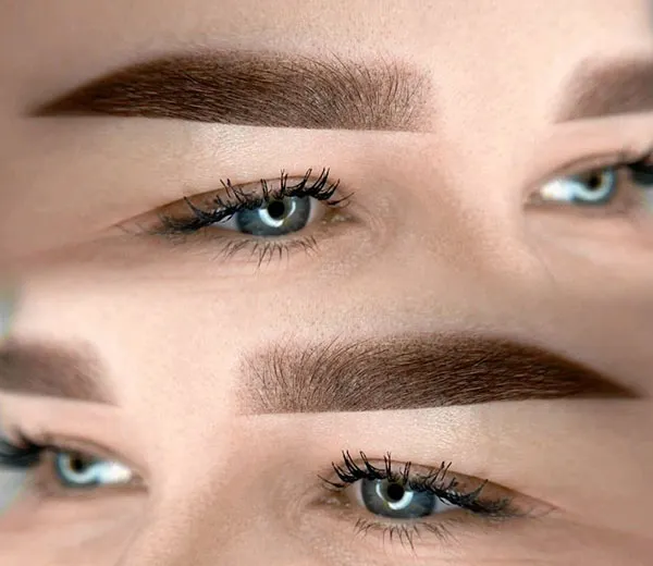 مدل جدید ابرو میکرو 2026 | مدل های طبیعی که این روزها ترند شدهاند! 4 New micro eyebrow model 2