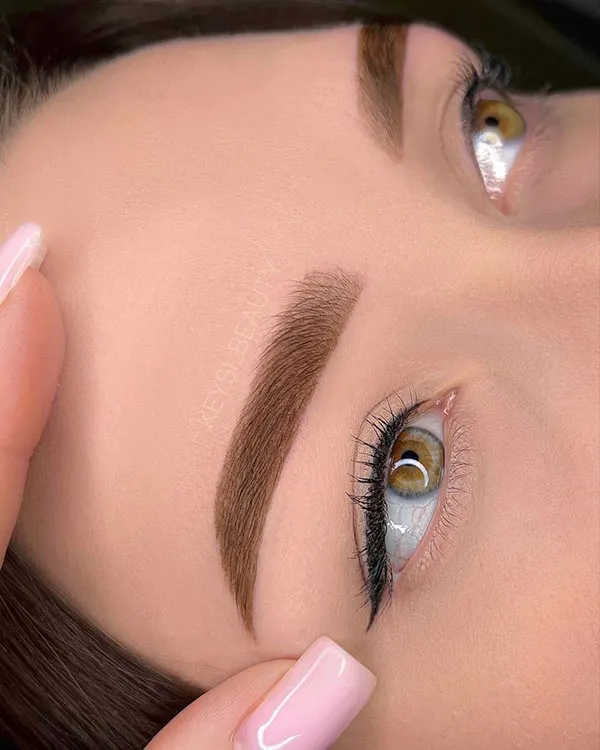 مدل جدید ابرو میکرو 2026 | مدل های طبیعی که این روزها ترند شدهاند! 31 New micro eyebrow model 24