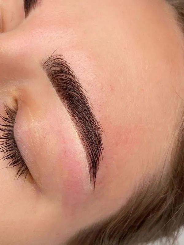 مدل جدید ابرو میکرو 2026 | مدل های طبیعی که این روزها ترند شدهاند! 32 New micro eyebrow model 25