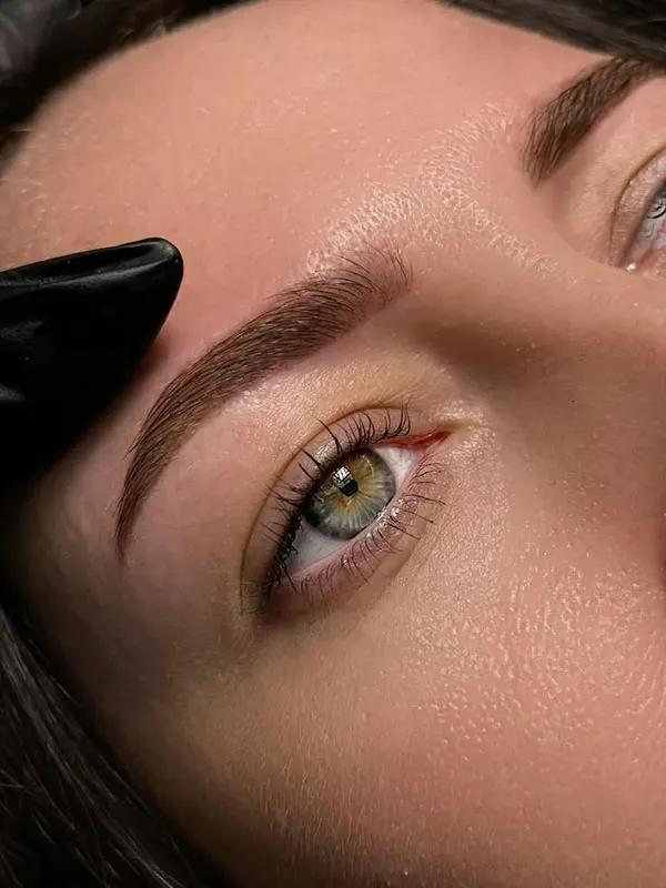 مدل جدید ابرو میکرو 2026 | مدل های طبیعی که این روزها ترند شدهاند! 8 New micro eyebrow model 28