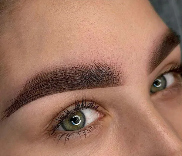 مدل جدید ابرو میکرو 2026 | مدل های طبیعی که این روزها ترند شدهاند! 13 New micro eyebrow model 7