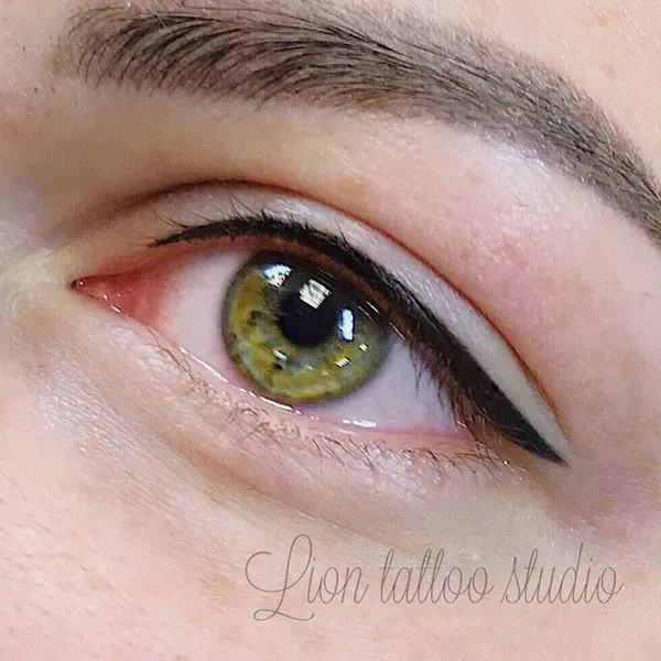 New tattoo style eyeliner for girls 3
