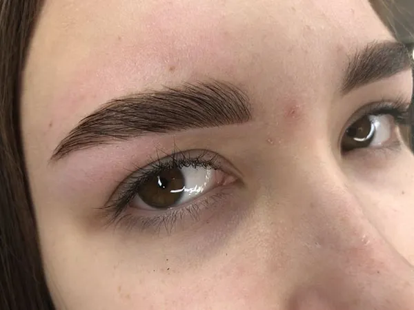 Wide and short eyebrow model 15