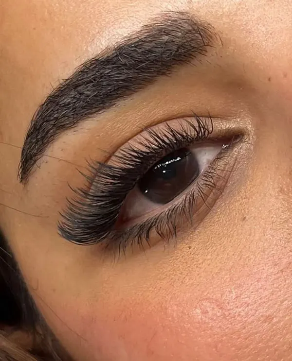 Wide and short eyebrow model 19