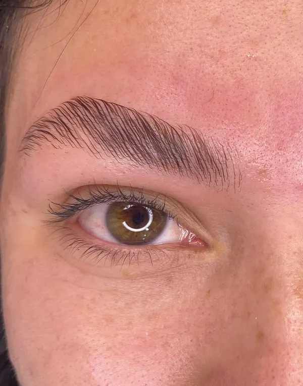 Wide and short eyebrow model 26