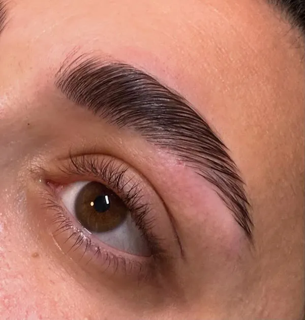 Wide and short eyebrow model 27