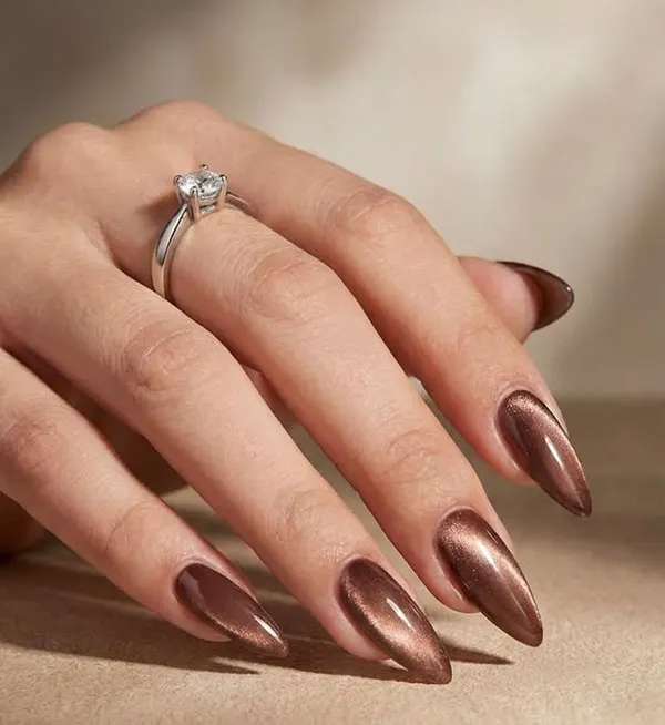 Autumn Chrome Nail Design 2