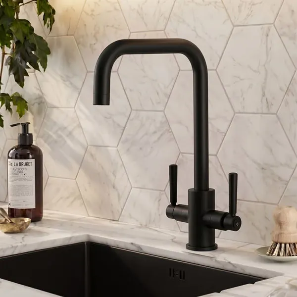 New kitchen faucet model 10