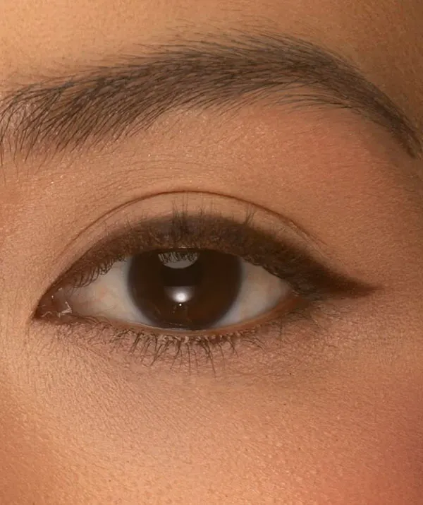 30 مدل خط چشم قهوه ای؛ مدلهای ظریف و جذابی که آرایش چشم را متفاوت میکنند! 26 Brown eyeliner 21